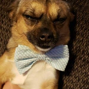 Meet your Posher, James